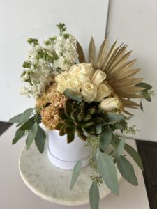 Boho Succulent