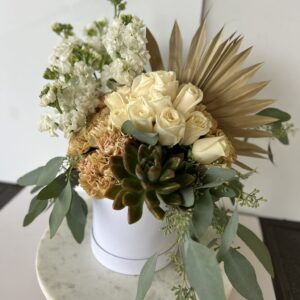 Boho Succulent